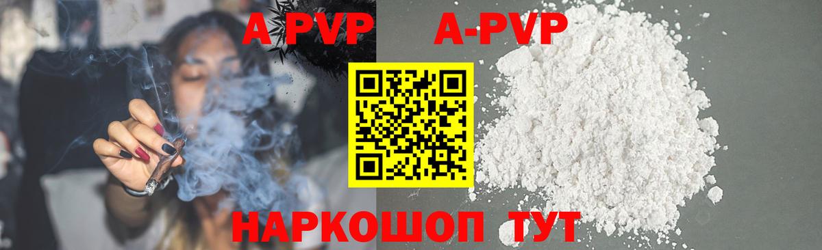 A PVP СК КРИС Коряжма