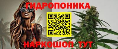 шишки Гусев
