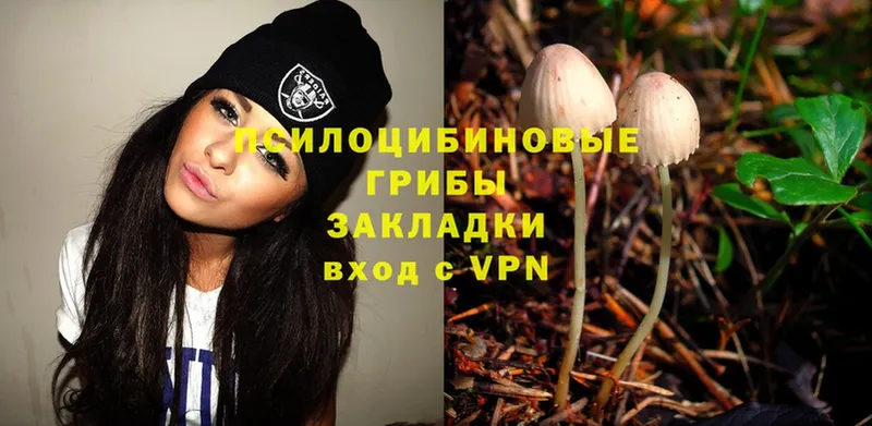 как найти закладки  Коряжма  Галлюциногенные грибы MAGIC MUSHROOMS 