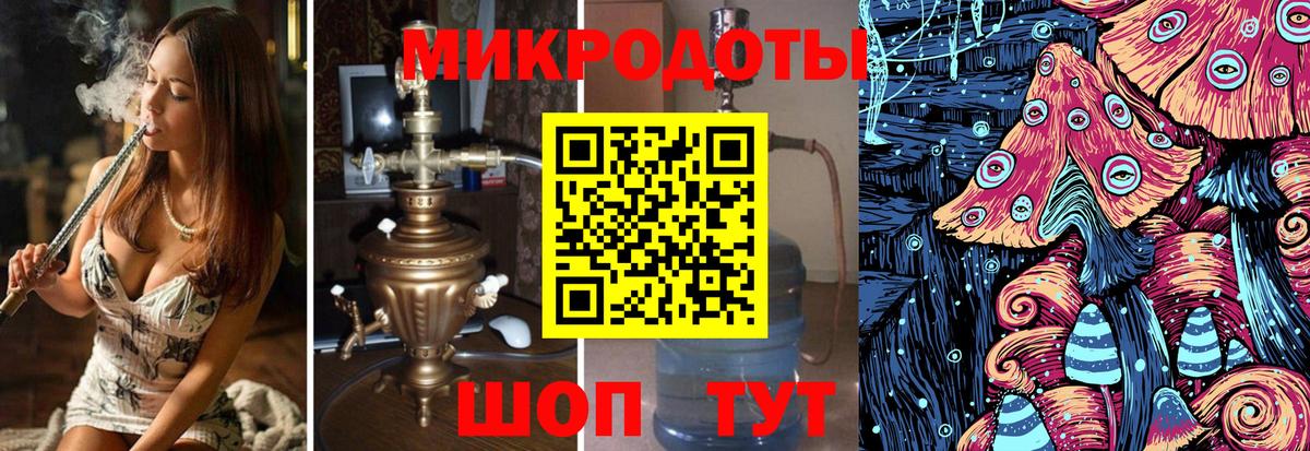 Галлюциногенные грибы Psilocybe  купить наркоту  Коряжма 