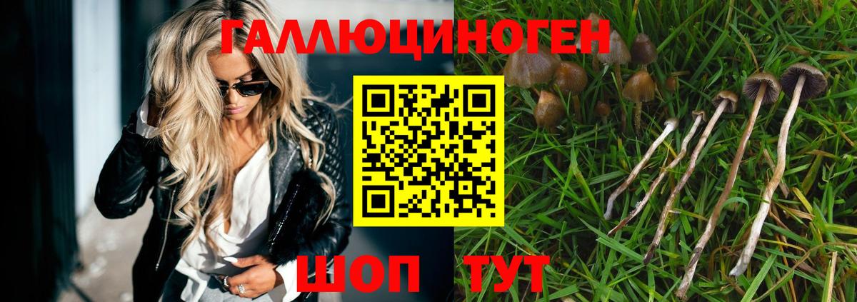 Галлюциногенные грибы Psilocybe  Вход с VPN  Коряжма 