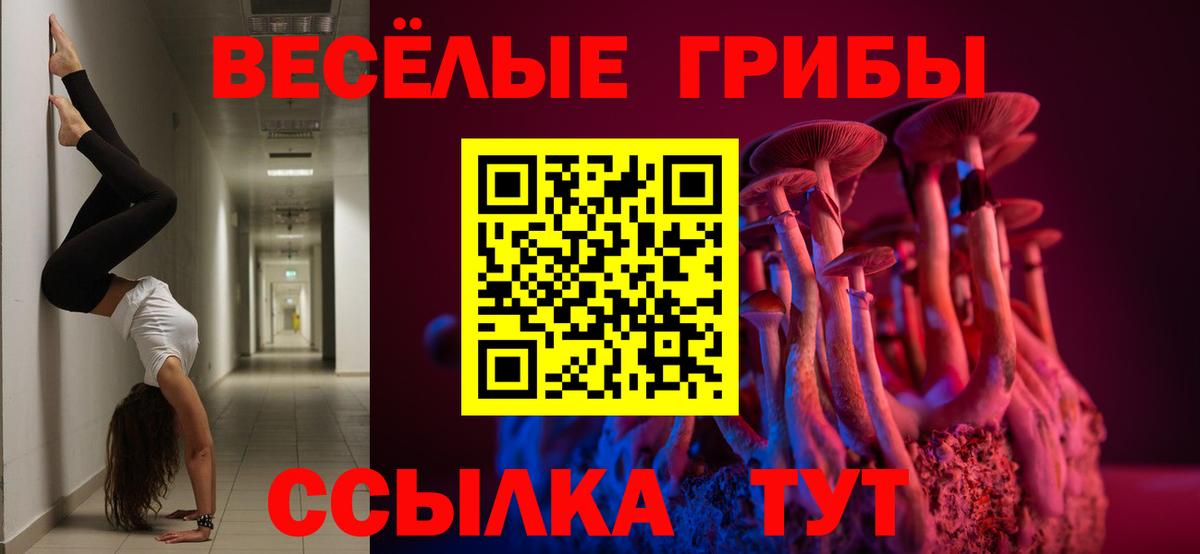 Канабис Коряжма