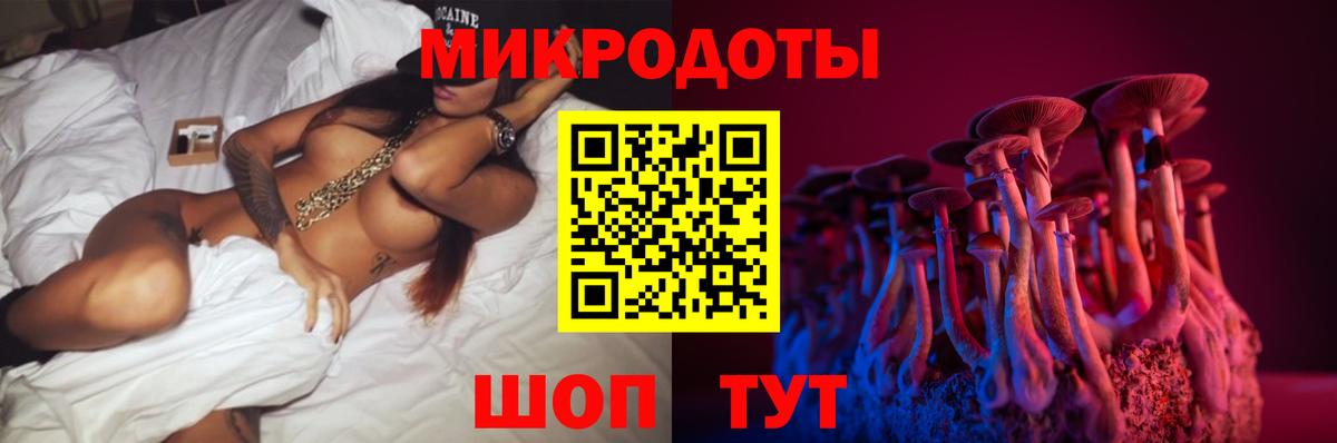 Псилоцибиновые грибы Cubensis Коряжма